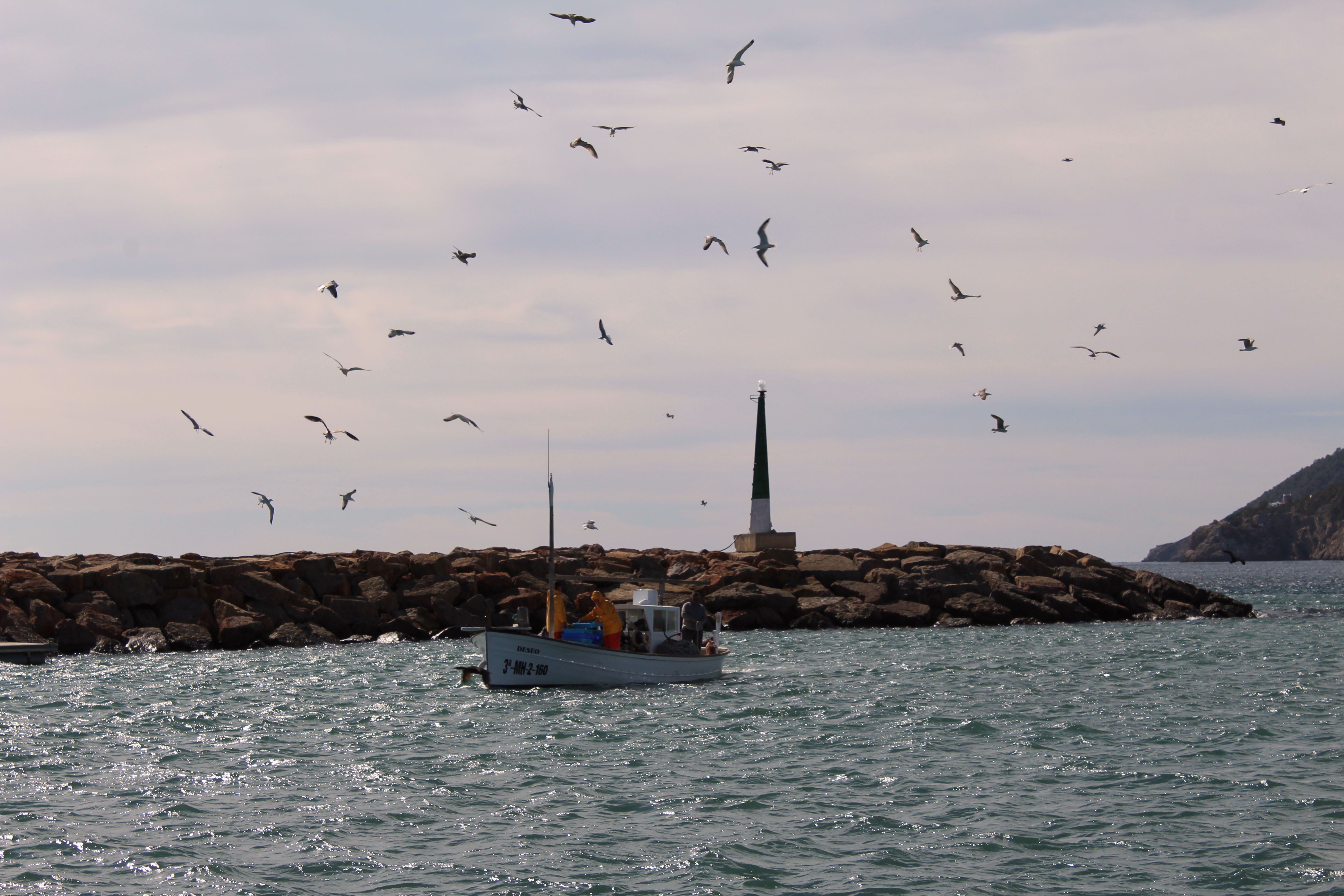 20210325 Imagen archivo pescadores entrando al puerto de Santa Eulària