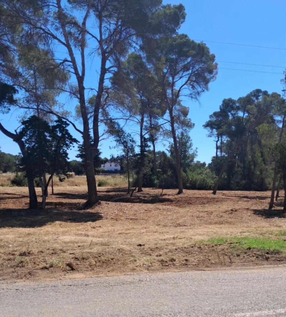 Santa Eulària abre un aparcamiento público y gratuito con 150 plazas en s’Argamassa