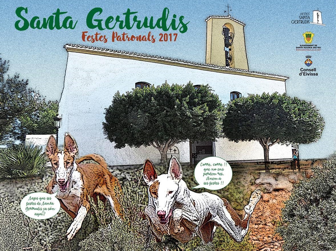 Festes Santa Gertrudis 2017