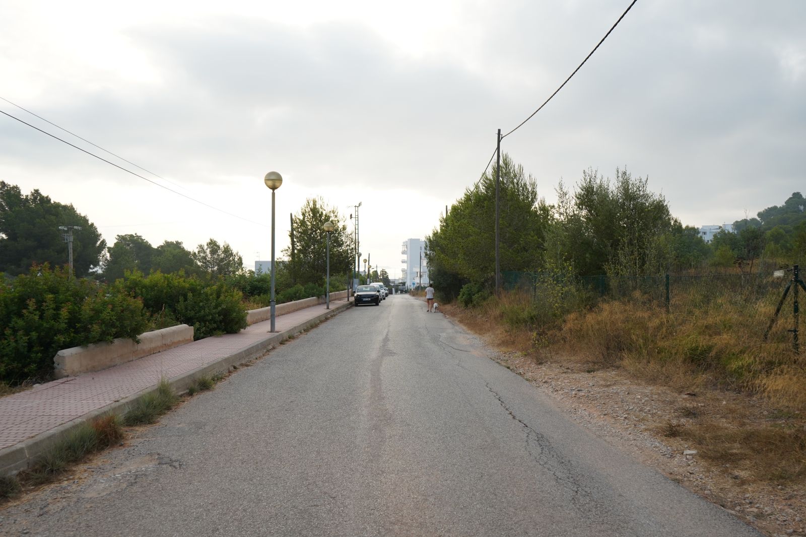 Santa Eulària inicia dimarts 29 de setembre les obres d’asfaltat integral del carrer de ses Begònies des Puig d’en Fita