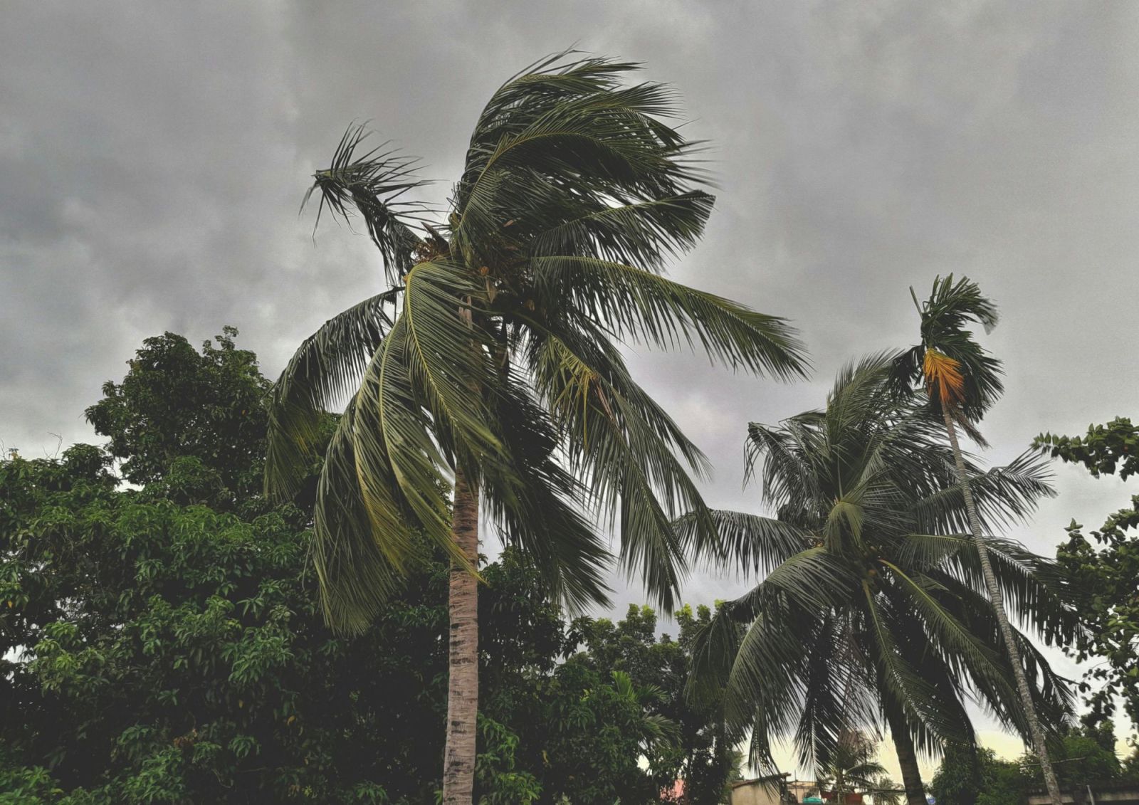 Aviso a la población por activación de alerta naranja de la AEMET