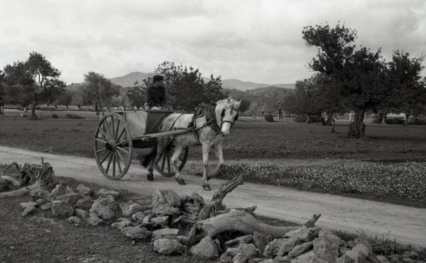 Santa Eulària recupera la memoria de los carros de Eivissa