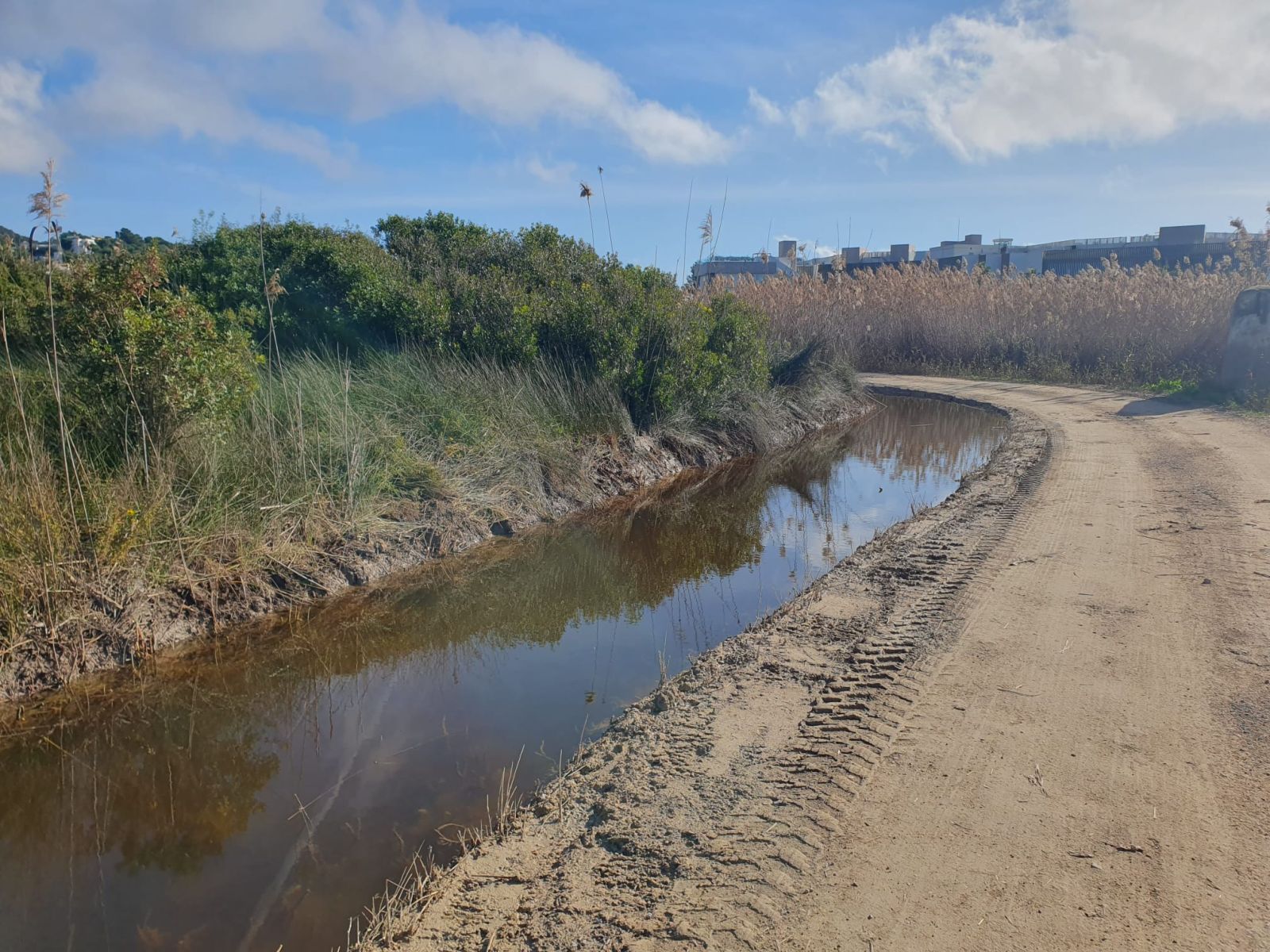 Finalizada la limpieza de canales y caminos de ses Feixes des Prat de ses Monges y el torrente de Jesús