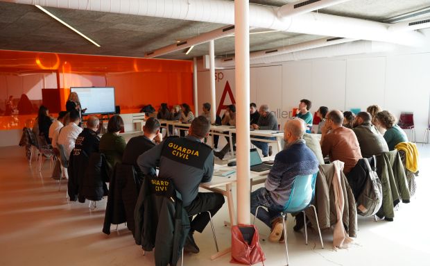 Santa Eulària des Riu presenta su Plan de Gestión Integral Felina