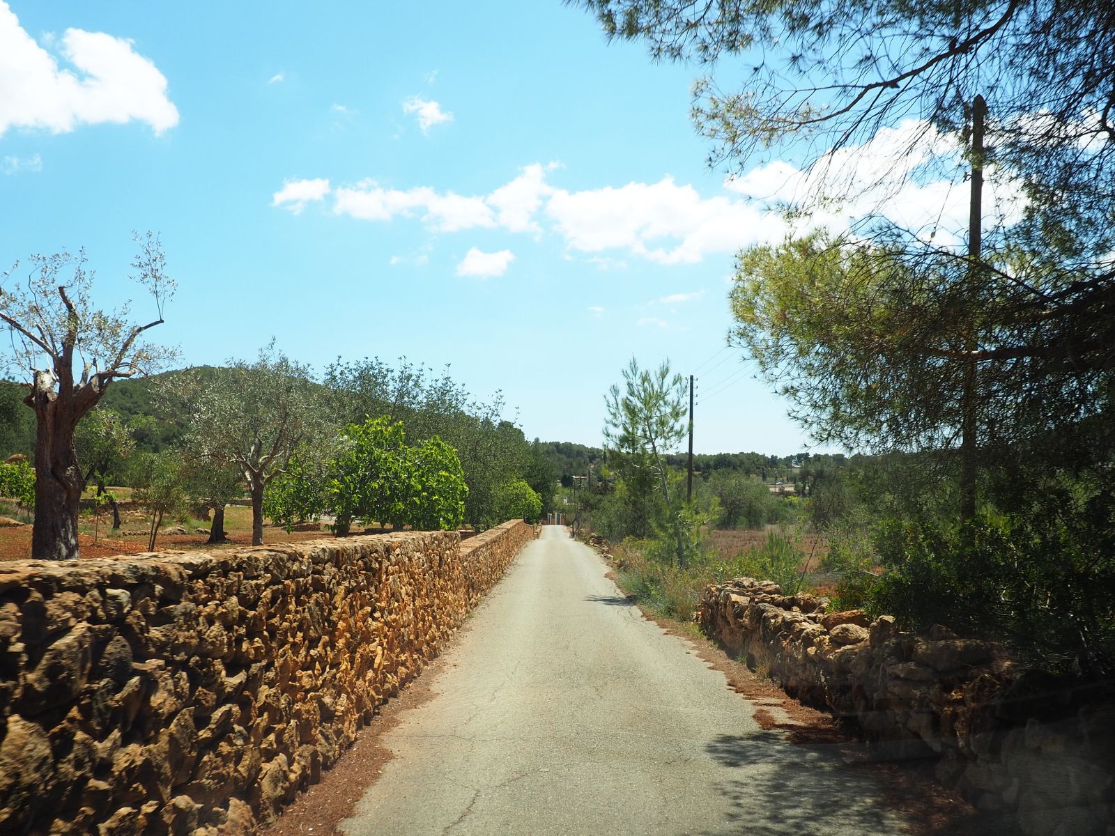 Santa Eulària aprovarà definitivament el primer catàleg de camins d'Eivissa després de documentar més de 330 quilòmetres de territori