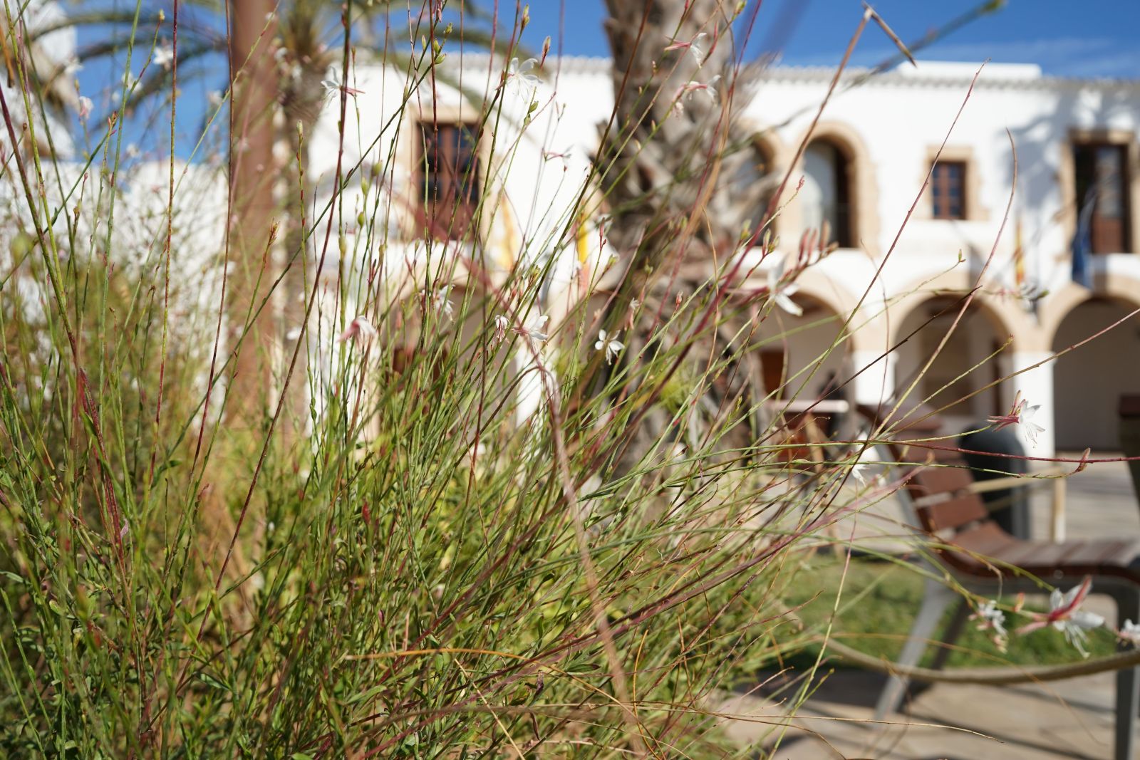 Santa Eulària alcanza un 92,5 % de satisfacción con el mantenimiento de sus zonas verdes