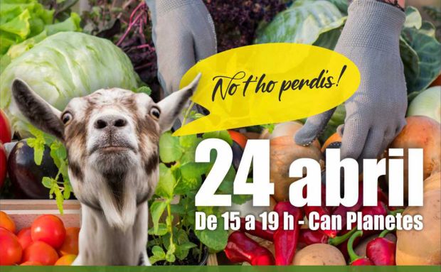Les races d'animals autòctones, protagonistes de la tercera edició del Mercat Ecològic de Santa Eulària