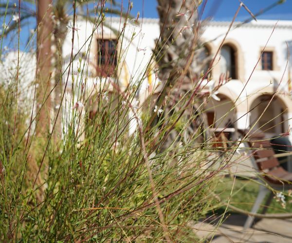 Santa Eulària alcanza un 92,5 % de satisfacción con el mantenimiento de sus zonas verdes