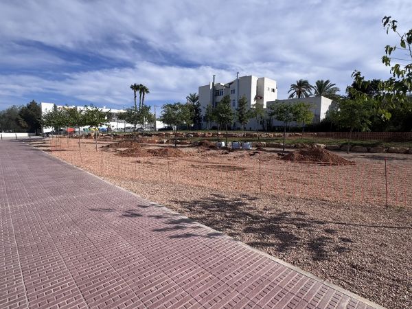 Santa Eulària inicia la instal·lació d'un nou parc de calistenia en la zona esportiva de Santa Gertrudis