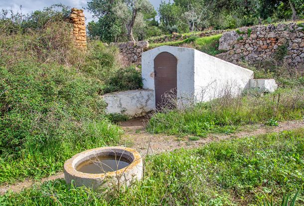 Font d'Atzaró