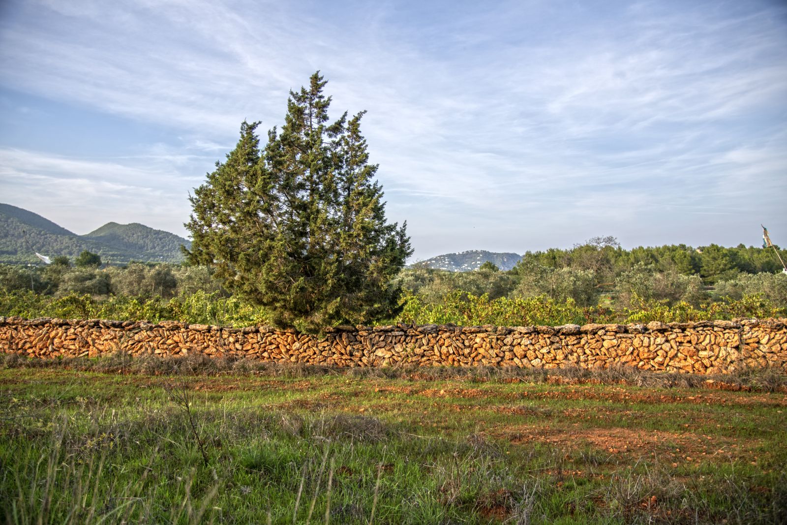L'Ajuntament reparteix 50.000 euros en 24 ajuts per restaurar parets de pedra seca i altres elements patrimonials a l'entorn rural