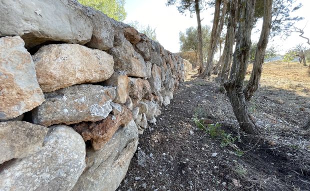 El Ayuntamiento de Santa Eulària destina 80.000 euros a la conservación y mejora del entorno rural