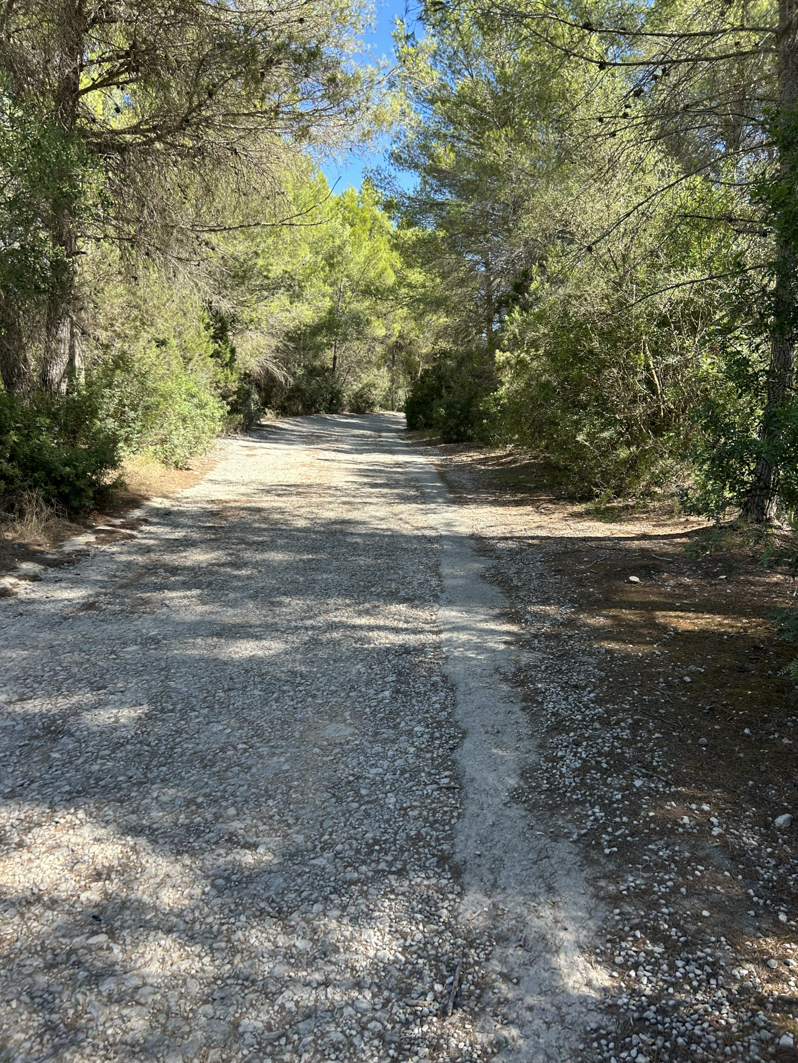 Santa Eulària inicia el martes 29 de septiembre las obras de asfaltado integral de la calle ses Begònies de es Puig d’en Fita