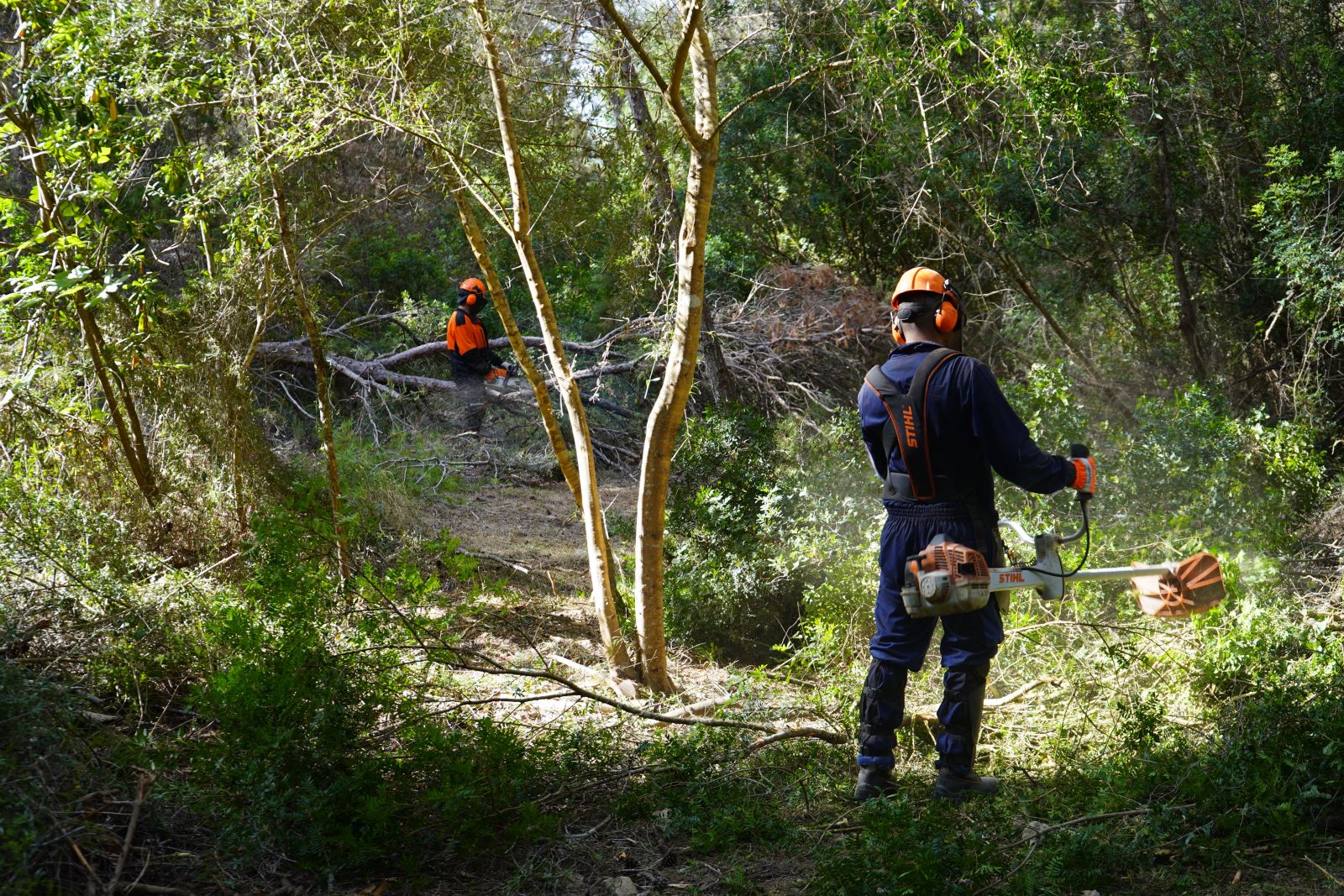 Santa Eulària inicia la limpieza de 14.000 metros cuadrados de torrentes urbanos para reducir el riesgo de inundaciones