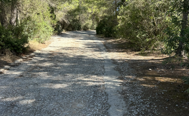 Santa Eulària inicia el martes 29 de septiembre las obras de asfaltado integral de la calle ses Begònies de es Puig d’en Fita