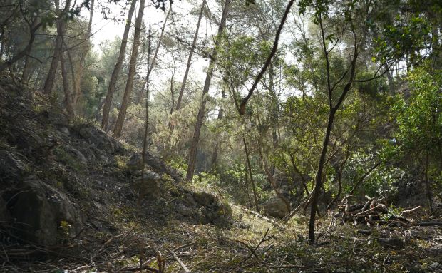 Santa Eulària hace un llamamiento a la prevención y responsabilidad ciudadana para reducir el riesgo de incendios