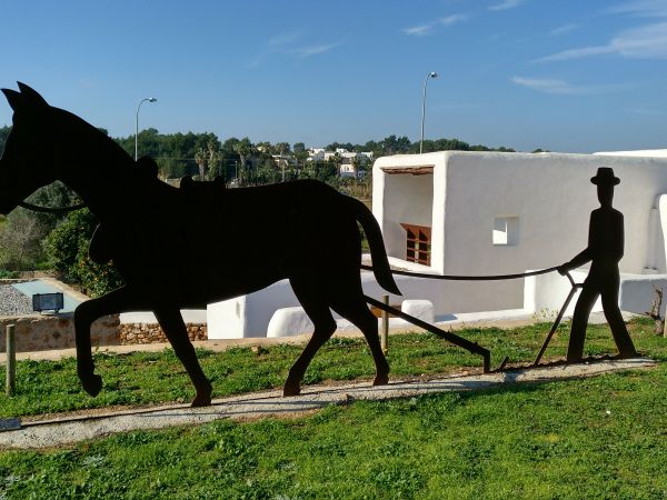 Santa Eulària estrena un mercat ecològic a Can Planetes