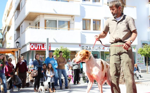 Santa Eulària des Riu inicia los trámites para elaborar un censo municipal de ADN de perros para luchar contra los excrementos no recogidos y los abandonos de camadas
