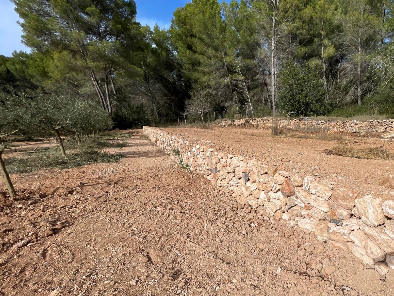 Convocadas las ayudas para la mejora del entorno rural que incluyen desde paredes de piedra a ‘trulls’ pasando por norias, aljibes o molinos