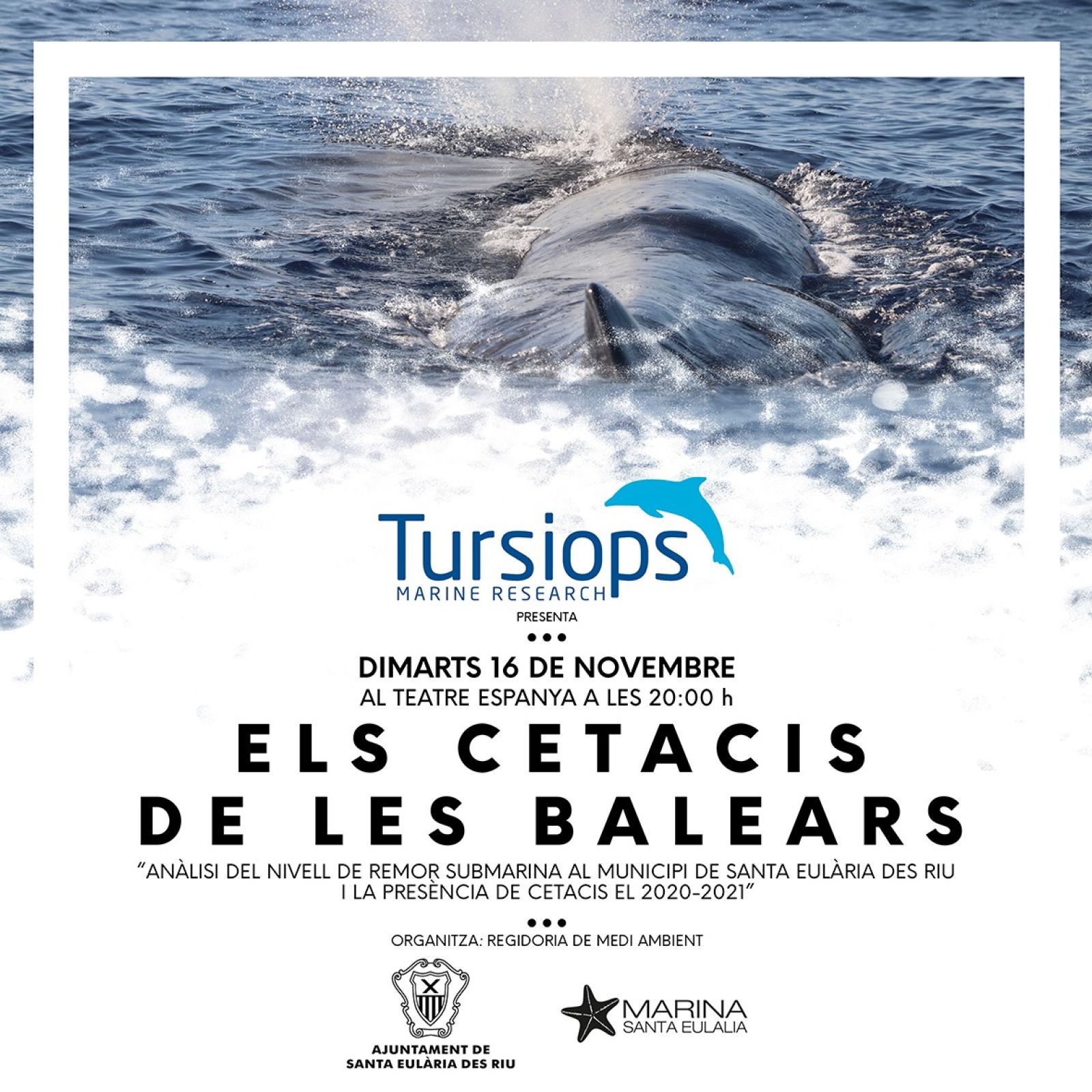 Conferència aquest dimarts en el Teatre Espanya sobre la presència de cetacis a l'illa a través del projecte ‘Els nostres dofíns’