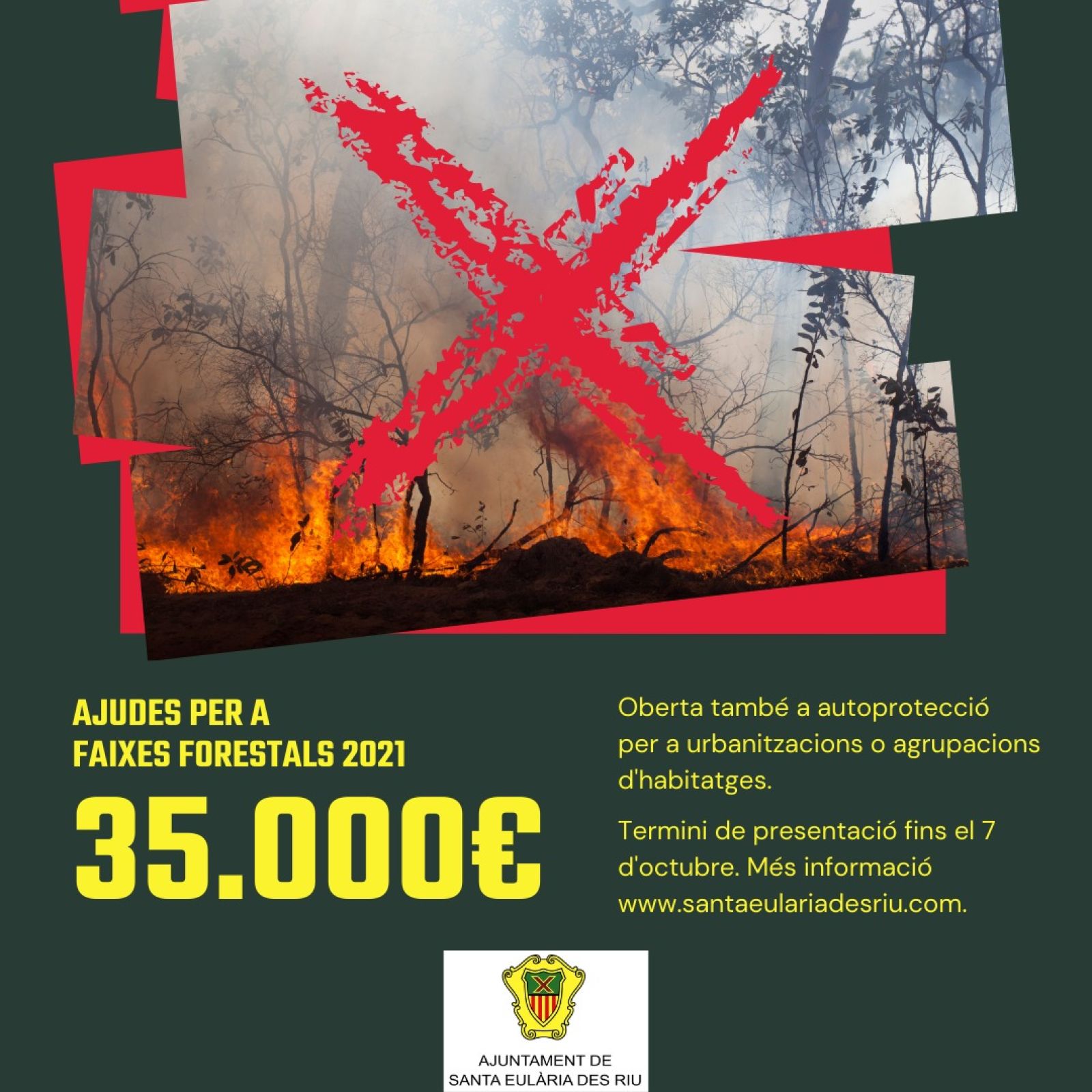 Aprovada la convocatòria de subvencions per a l'obertura i el manteniment de les faixes forestals de prevenció contra incendis