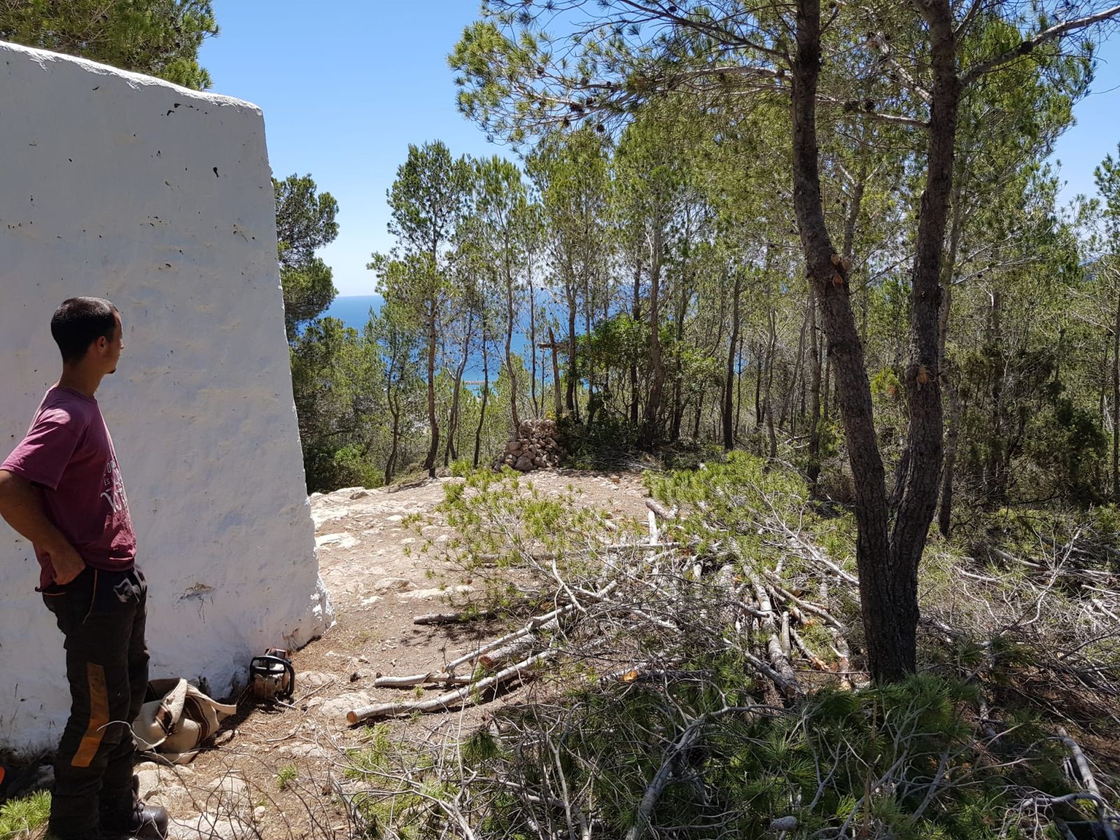 Surt a licitació la creació de 7,6 hectàrees de faixes anti incendi per protegir zones des Figueral i es Cap Martinet