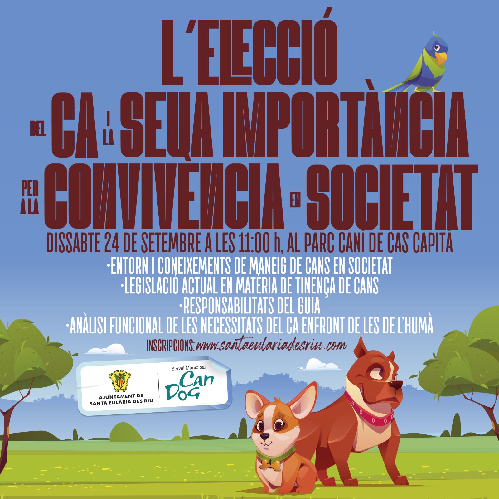 Medi Ambient organitza al parc caní de Cas Capità un taller per a la correcta elecció dels cans en adopció i la seua convivència en la societat