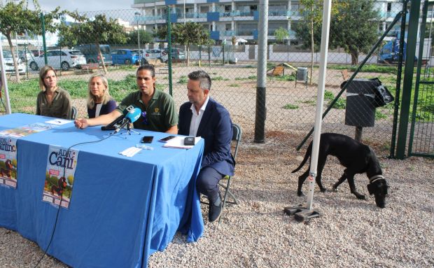 Santa Eulària des Riu begins the preparation of a dog DNA census to fight against uncollected excrement, the abandonment of litters and attacks on other animals