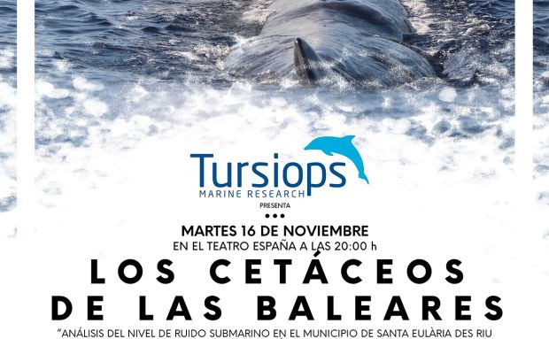 Conferencia este martes en el Teatro España sobre la presencia de cetáceos en la isla a través del proyecto ‘Els nostres dofíns’