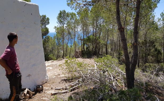 Sale a licitación la creación de 7,6 hectáreas de fajas anti incendio para proteger zonas de es Figueral y es Cap Martinet
