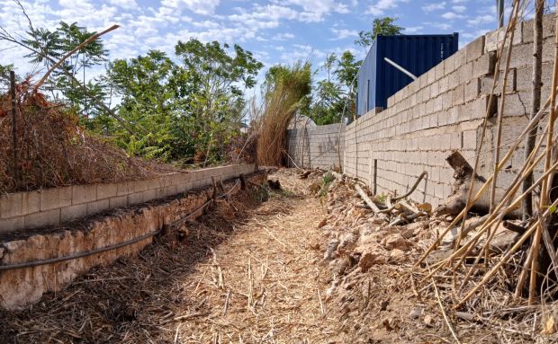 L'Ajuntament de Santa Eulària esbrossa i condiciona camins i canals de ses Feixes des Prat de ses Monges i de la Séquia de sa Llavanera