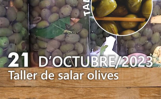 Taller gratuït de Salar Olives a Ca n'Andreu des Trull