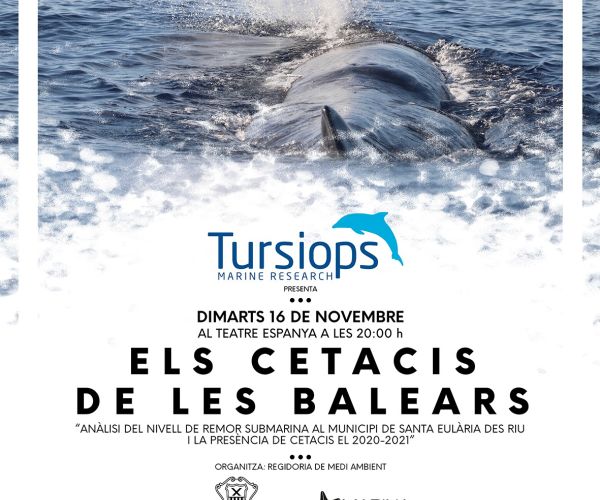 Conferència aquest dimarts en el Teatre Espanya sobre la presència de cetacis a l'illa a través del projecte ‘Els nostres dofíns’