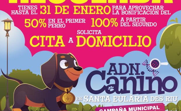 Santa Eulària des Riu se acerca al millar de perros en el sistema del censo genético de ADN canino municipal
