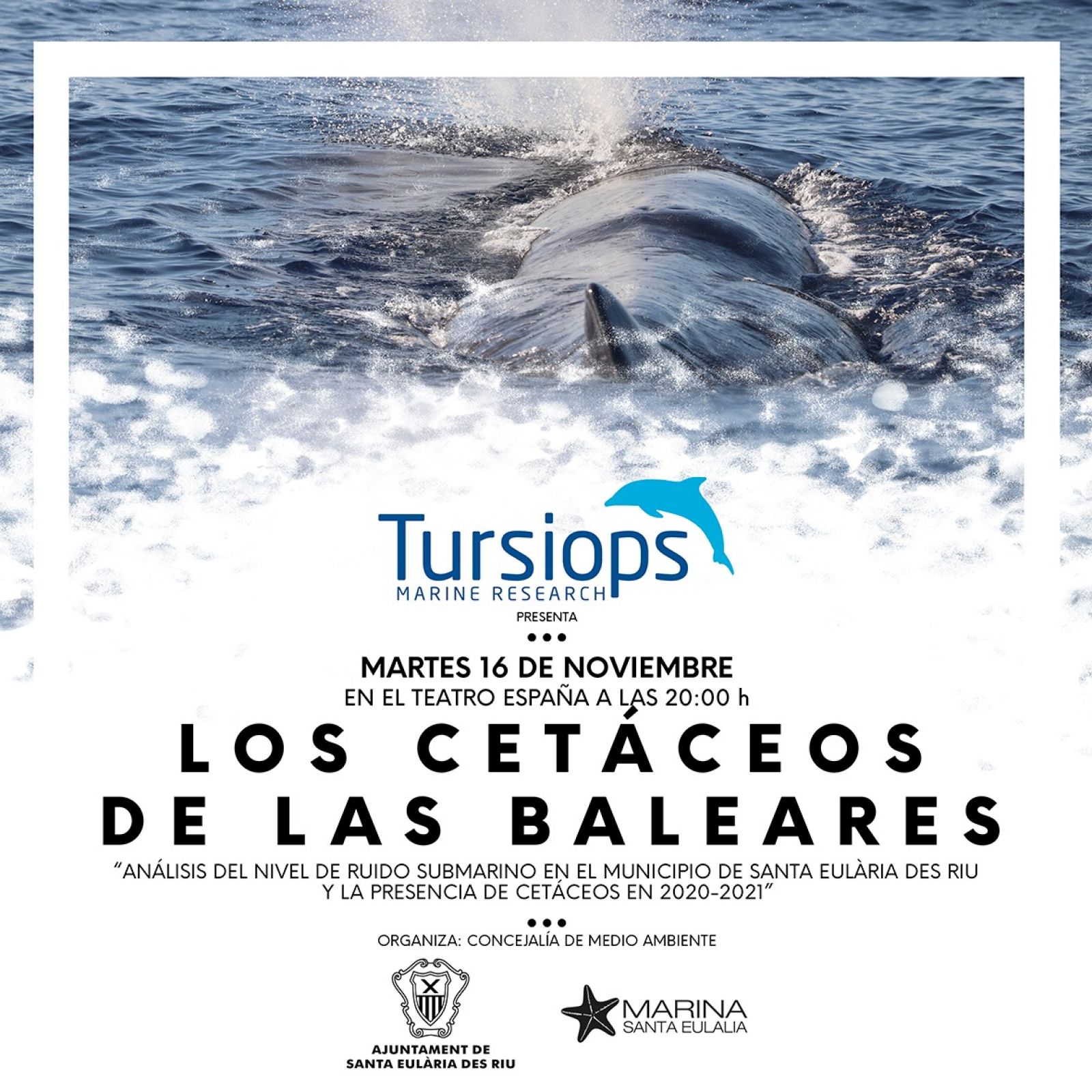 Conferencia este martes en el Teatro España sobre la presencia de cetáceos en la isla a través del proyecto ‘Els nostres dofíns’