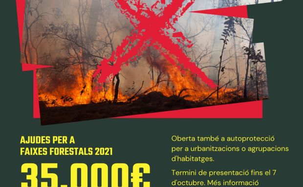 Aprovada la convocatòria de subvencions per a l'obertura i el manteniment de les faixes forestals de prevenció contra incendis