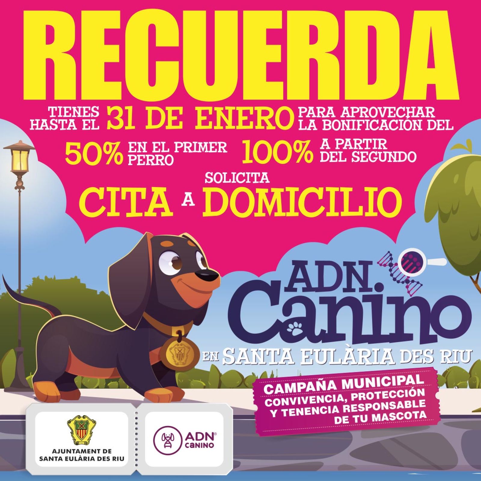 Santa Eulària des Riu approaches a thousand dogs in the municipal canine DNA genetic census system