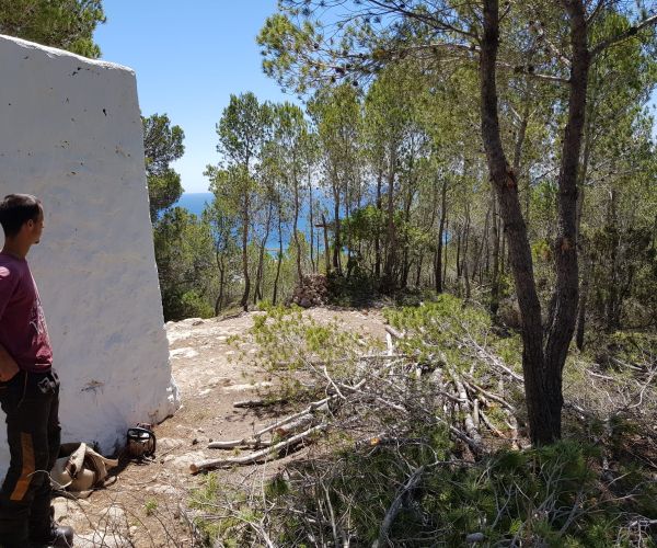 Sale a licitación la creación de 7,6 hectáreas de fajas anti incendio para proteger zonas de es Figueral y es Cap Martinet