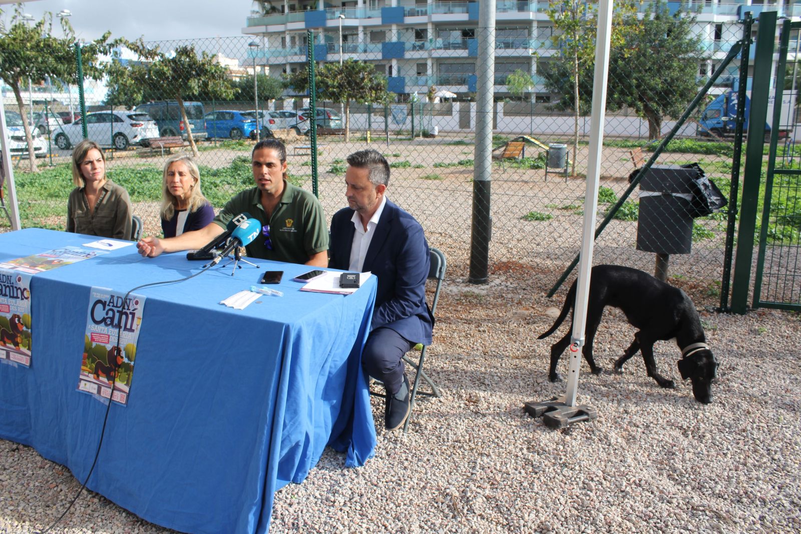 Santa Eulària des Riu begins the preparation of a dog DNA census to fight against uncollected excrement, the abandonment of litters and attacks on other animals