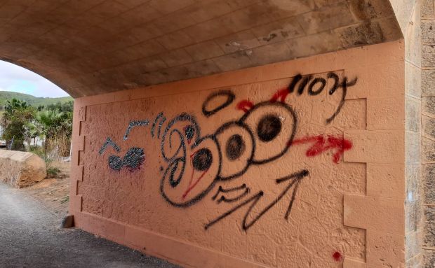 L'Ajuntament demana l'ajuda ciutadana per combatre els grafitis que destrossen el patrimoni i suposen cada any uns 10.000 euros en neteges extraordinàries